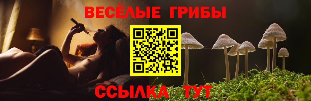 Галлюциногенные грибы Magic Shrooms  Вход с VPN  цены   Галлюциногенные грибы GOLDEN TEACHER  Калининград 